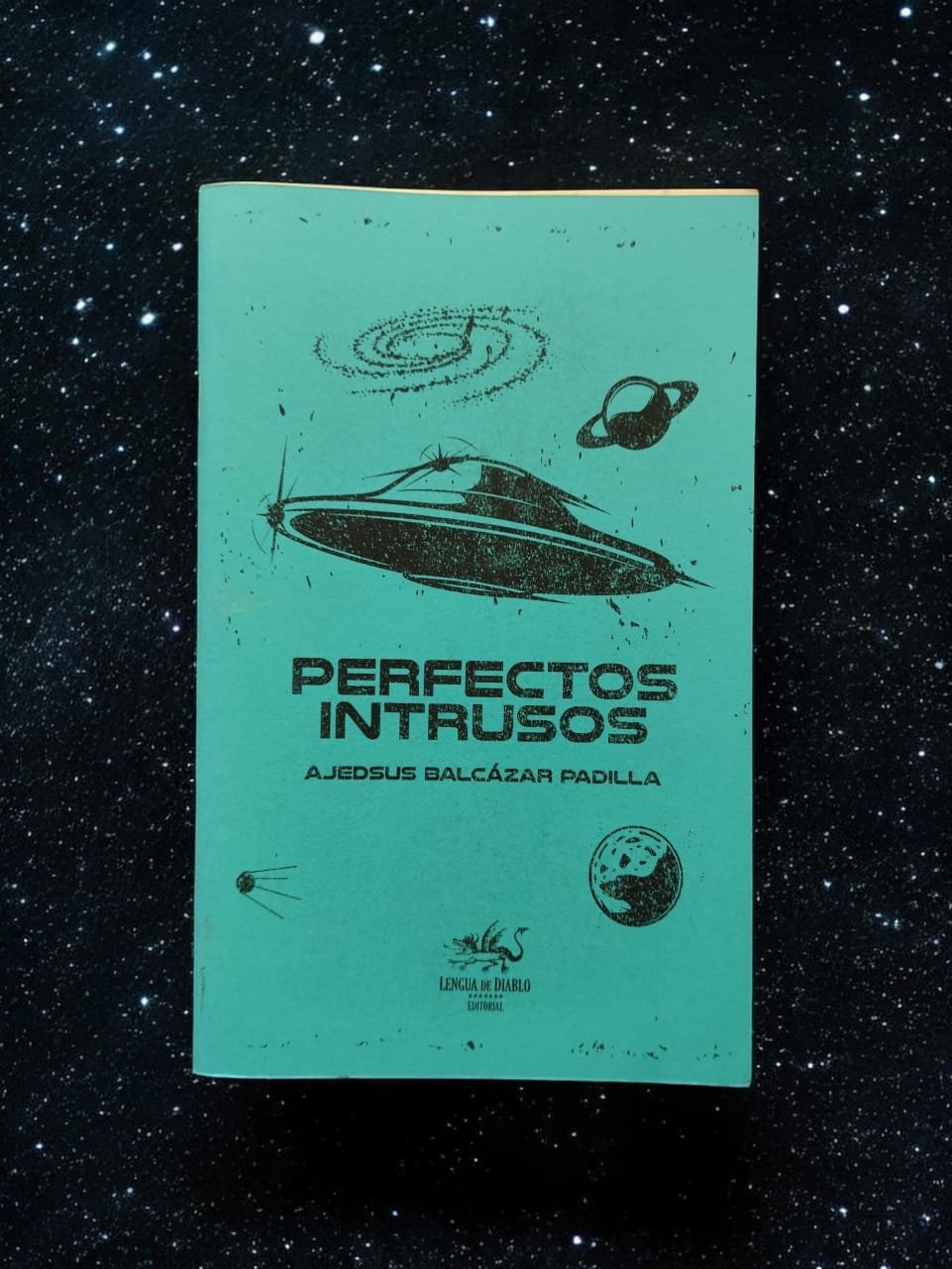 Portada de Perfectos intrusos