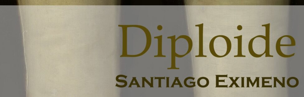 Diploide Diploide